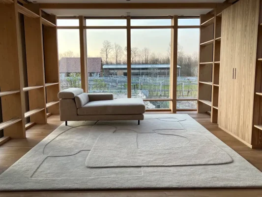 egyedi modern design szőnyeg