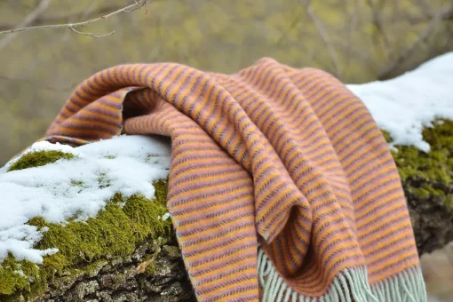 gyapjú takaró pléd részlete erdőben